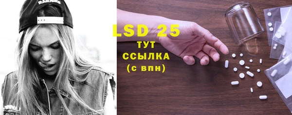 индика Новокубанск