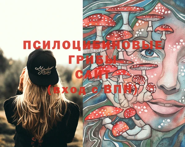 индика Новокубанск