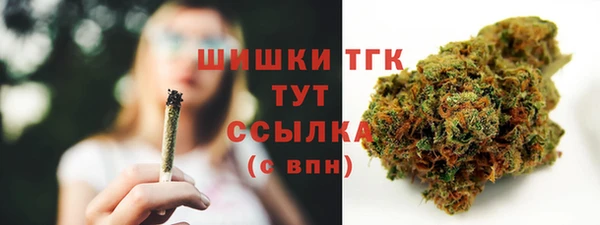 2c-b Новозыбков
