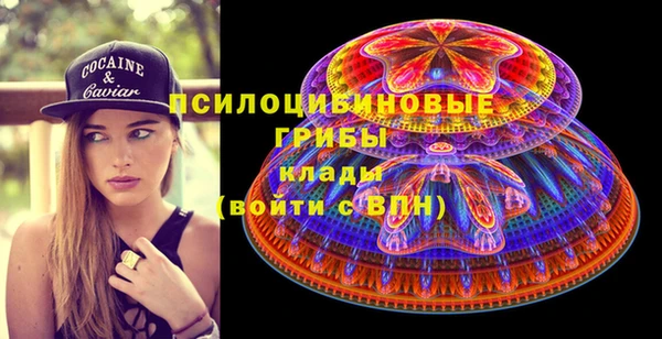 2c-b Новозыбков