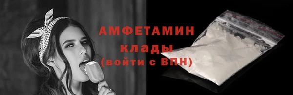 индика Новокубанск
