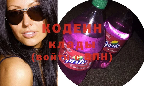 индика Новокубанск