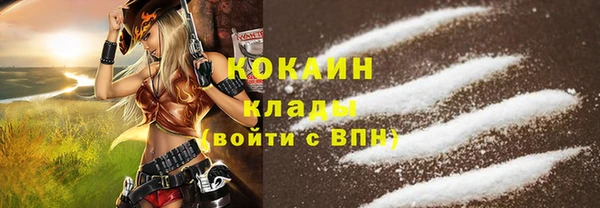 2c-b Новозыбков