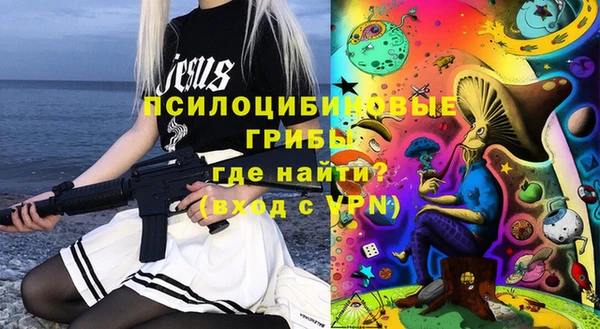 индика Новокубанск